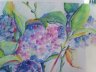 Hydrangeas and Leaves/Pastel - 